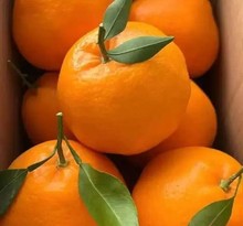 �Ĵ�üɽ�ʉ۰ҰҸ����r�������������ϰl؛�����