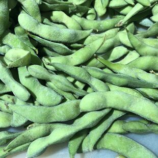 �ك�ë���v ���ë�� 2021������؛ ���ڃ��N�Կ�