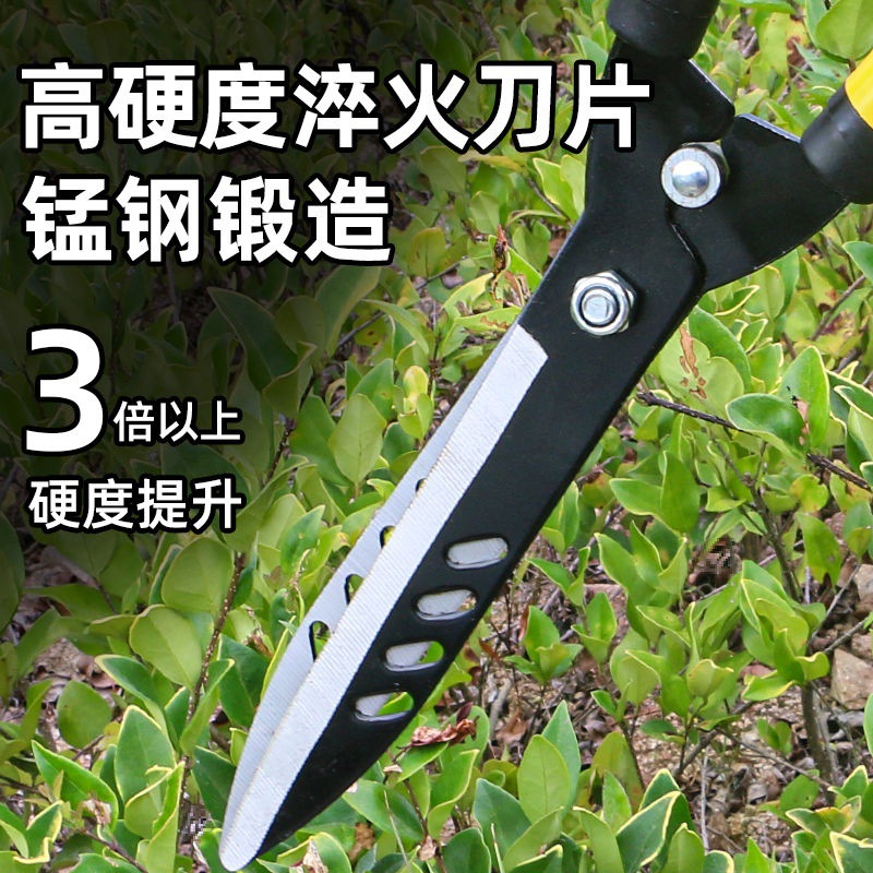 Corte especial de césped cuchillo de poda forestal verde jardín cortador cortador vivero herramienta de poda árbol de té flores cortador telescópico