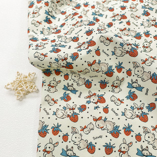 ��ݮ�����Y��ȫ��8��������20֧������������ɳ�l���ֹ�diy