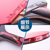 Genuine Red Double Happiness 8 Star Table Tennis racket H8002 H8006 direct shot double -sided anti -glue eight -star table tennis racket