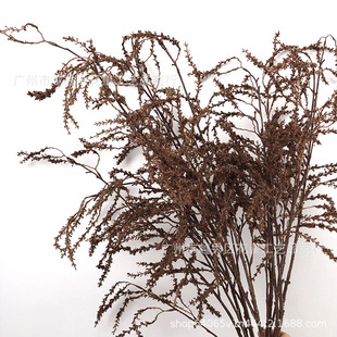 ��ɫ�ݲ����˲�ܛ�b������ɫϵ����ɫ����ɫ���滨��c�zӰ����