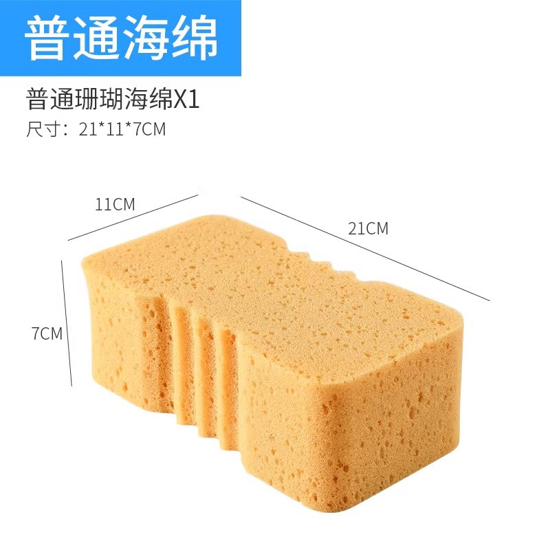 일반 스펀지