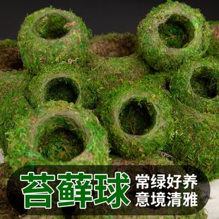 潍坊集羽园艺有限公司
