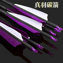 ������֧500�_����̼�����C�����y����̼��֧��������\��̼�ؼ�