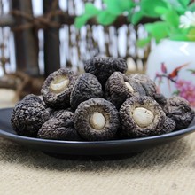 小香菇 金钱菇珍珠菇冬菇食用菌干货 250g产地批发