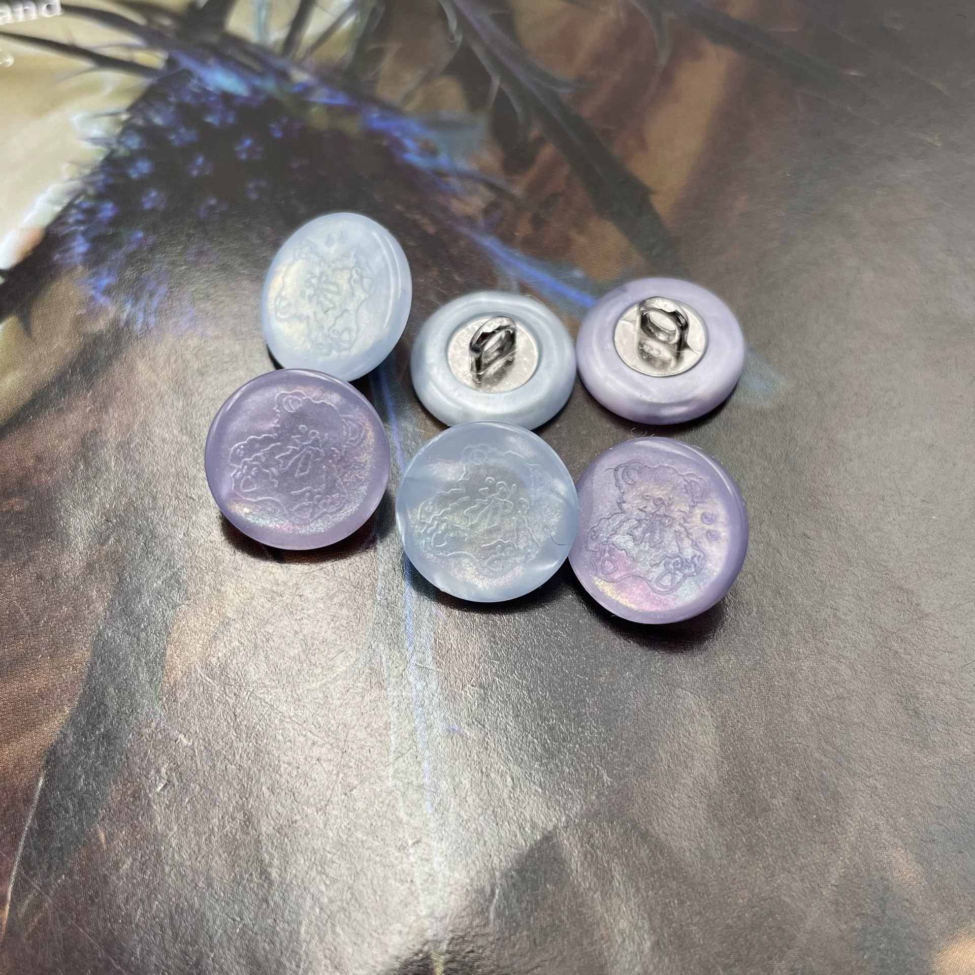 2024-08-28 39827.jpg