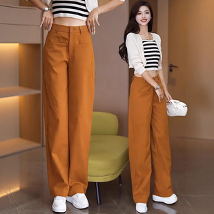�Sɫ���e���ѝ��Ů���＾2026�¿������ɳڸ��Lѝ���bֱͲѝ