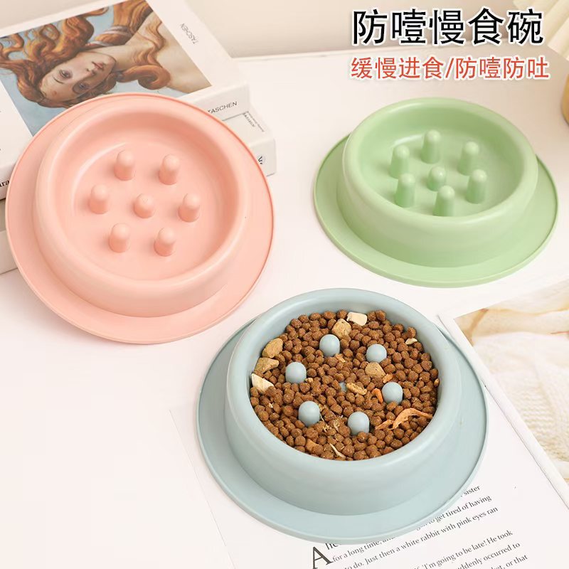 Pet Supplies Factory Pet Bowls Cat Bowls Dog Bowls Factory Large Spot Wholesale Cross-Border Export Exclusive Wholesale Pet Supplies Factory Pet Bowls Cat Bowls Dog Bowls Factory Large Spot Wholesale Cross-Border Export Exclusive Wholesale