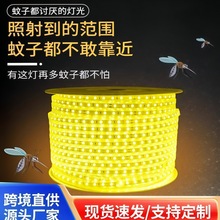 ���LED�� ����¶�IͥԺ��ˮ��Ұ������x��x�����L�l������
