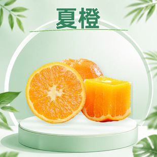 �����ĳ� ���lե֭���Ӳ�ժ����ڸ��������S�����ش�����rˮ��