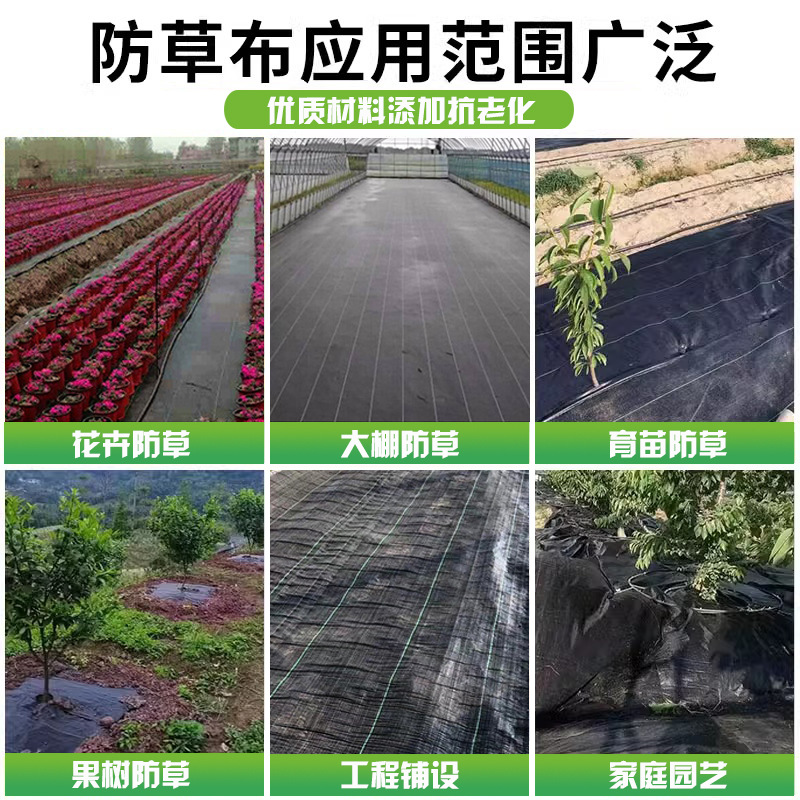 Paño a prueba de césped Paño a prueba de césped agrícola permeable Paño de deshierbe de jardín de invernadero Paño de plástico negro antienvejecimiento PP image 3