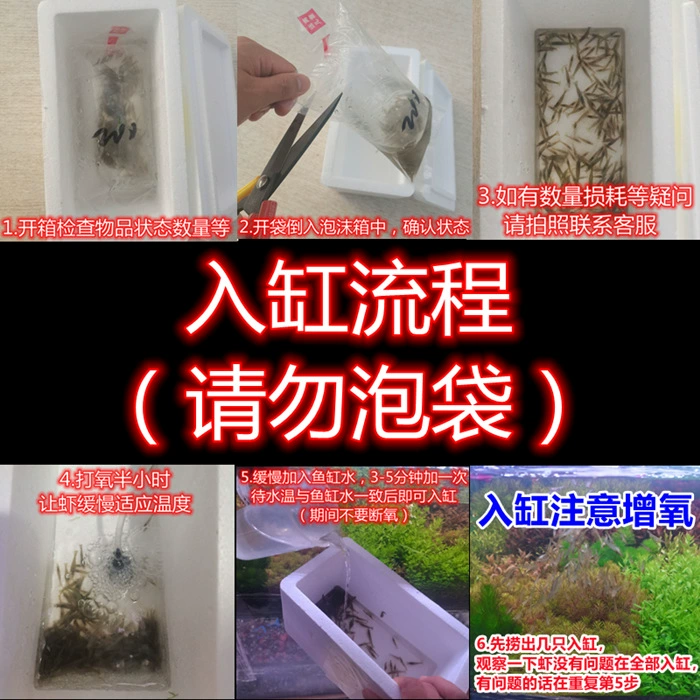 Черные судовые креветки?