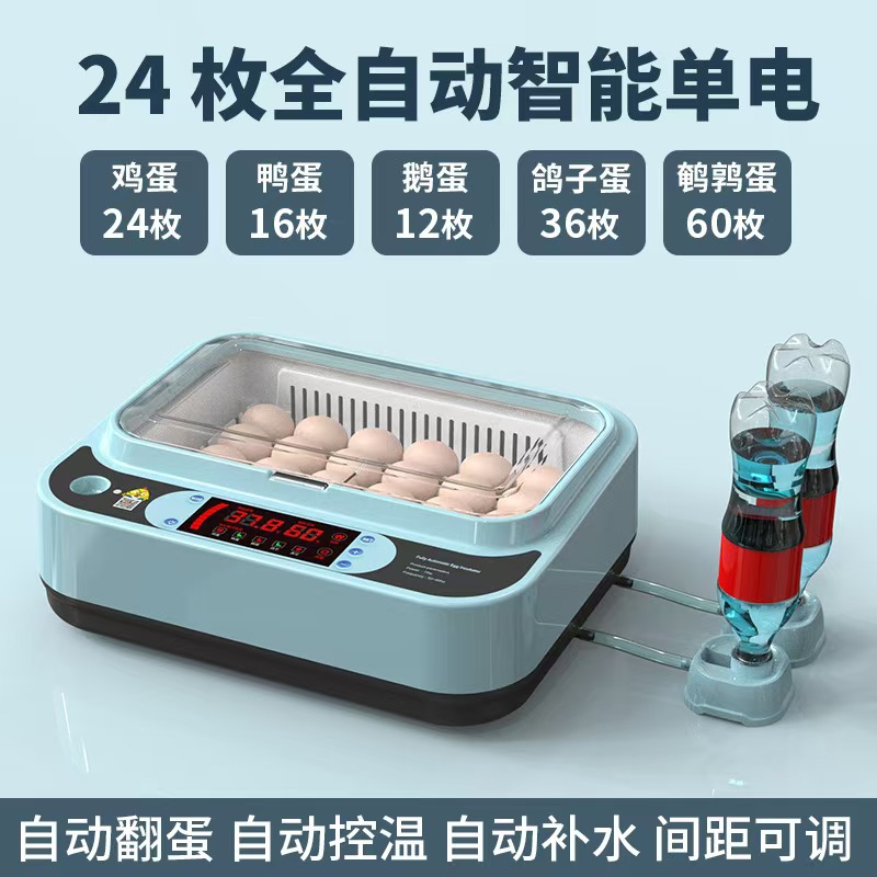 Incubadora de pollo de venta directa Incubadora doméstica pequeña Incubadora doméstica inteligente automática Caja de incubación de pollo