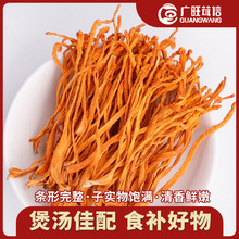 虫草花大量现货批发金虫草花食用菌菇包汤包汤料散装虫草花煲汤