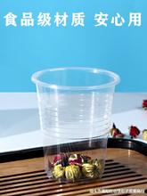 一次性杯子加厚塑料水杯家用小號透明航空整箱批發商用1000只裝茶