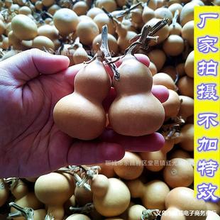 ���J����Ȼ����J�N�ӌ�С��������С���J�Ѻ��J�������l�������J