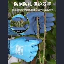 ?�@ˇ���׷��̷�ˮ�N���Nֲ�¼��@�ֻ�ˇõ��������@�N�˰�����