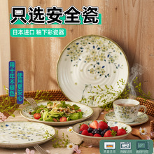 圆形新款日本进口盘子菜盘家用花见猫陶瓷餐具日式釉下彩深盘碟子