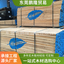 �S�����l�t���� 4/4�����t�� ���������t��Ҏ�����N�۹���