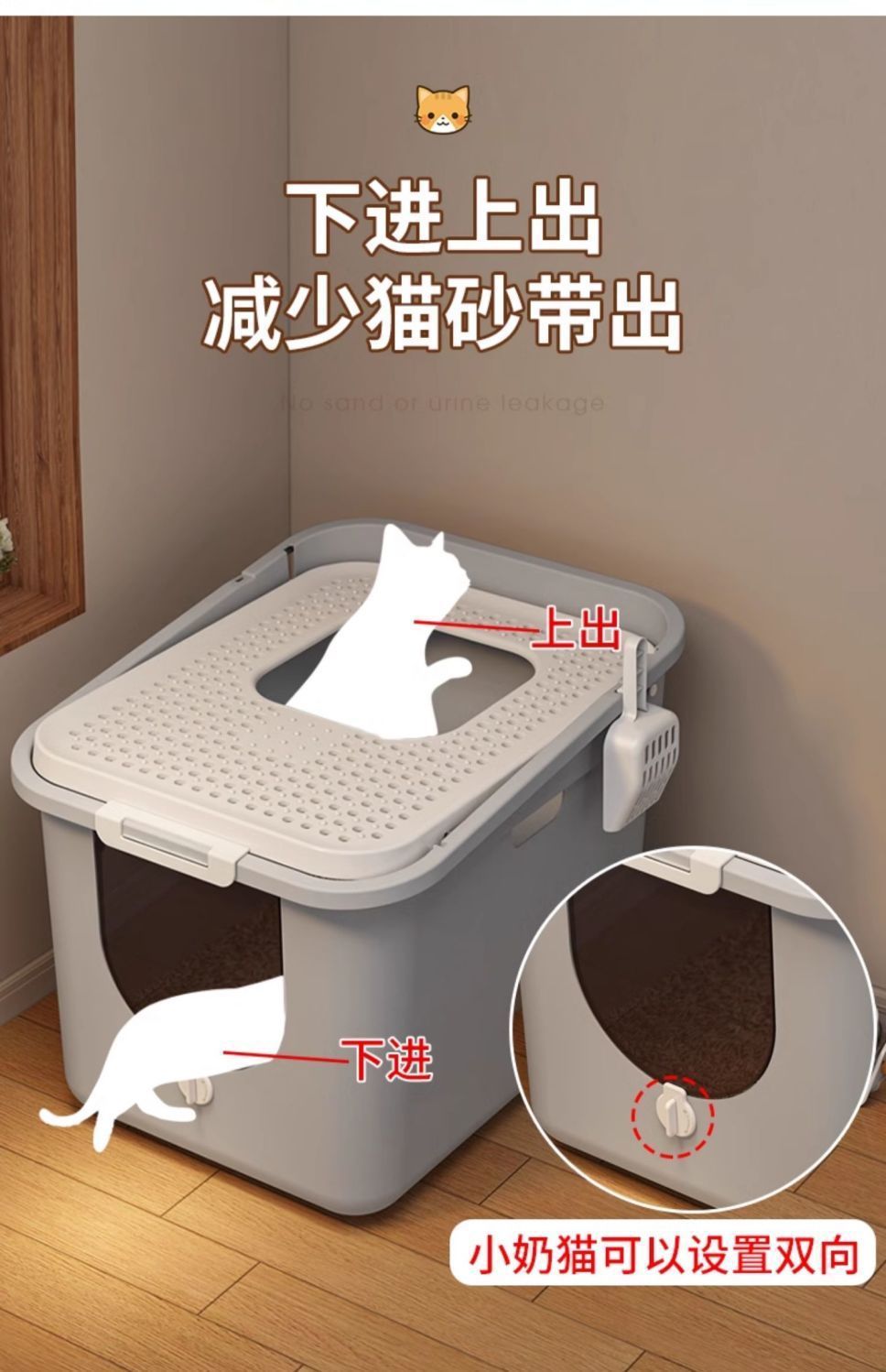 d8f07cfd-6dae-48c7-87ff-04af175ca2ec.jpe