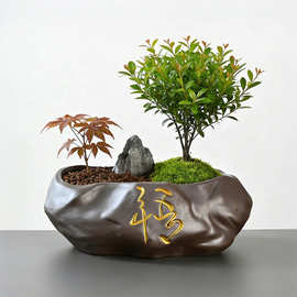 禅意仿石陶瓷花盆厂家批发 小叶赤楠红枫盆景绿植造景专用盆