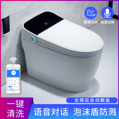 智能马桶全自动一体式语音泡沫盾无水箱恒温家用遥控坐便器|ms