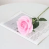 Right -rose silk cloth light powder
