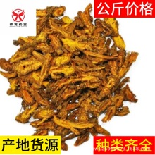 ��ș���S�B1000���S�BƬ�uצ�B��֦�B��NҎ��F؛�������l����