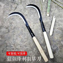 �r�ù���砵� ��ݵ� ������~����砵��㽶�����Ƶ��޽ӵ�