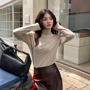 Ai Chunshi Autumn and Winter Lyocell High Collar Base Shirt Women's Tencel Slimming All-match Sweater Wool Warm Top