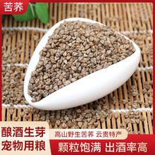 ؛Դ�������w �������w�������wɢ�bᄾƌ����������s�Z