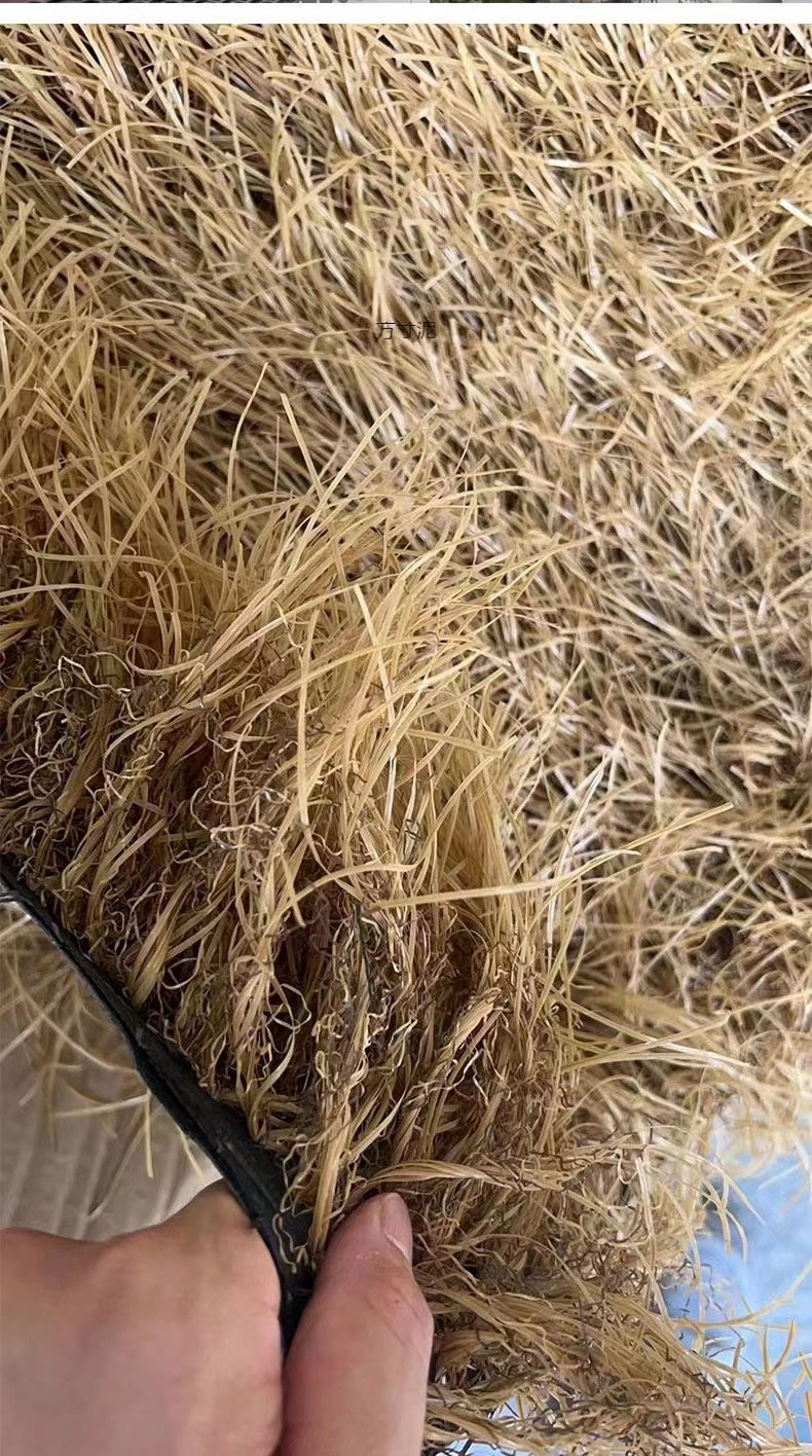 408bebff-fe00-443e-a0e4-05d4e852ccb9.jpe