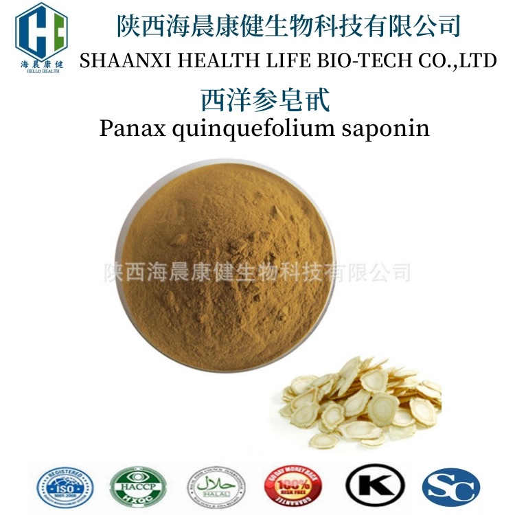 西洋参提取物 西洋参皂甙10% 西洋参粉 海晨康健 厂家直供