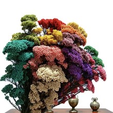 小米花永生花干花真花diy花材迷你小花束家居装饰批发跨境热销