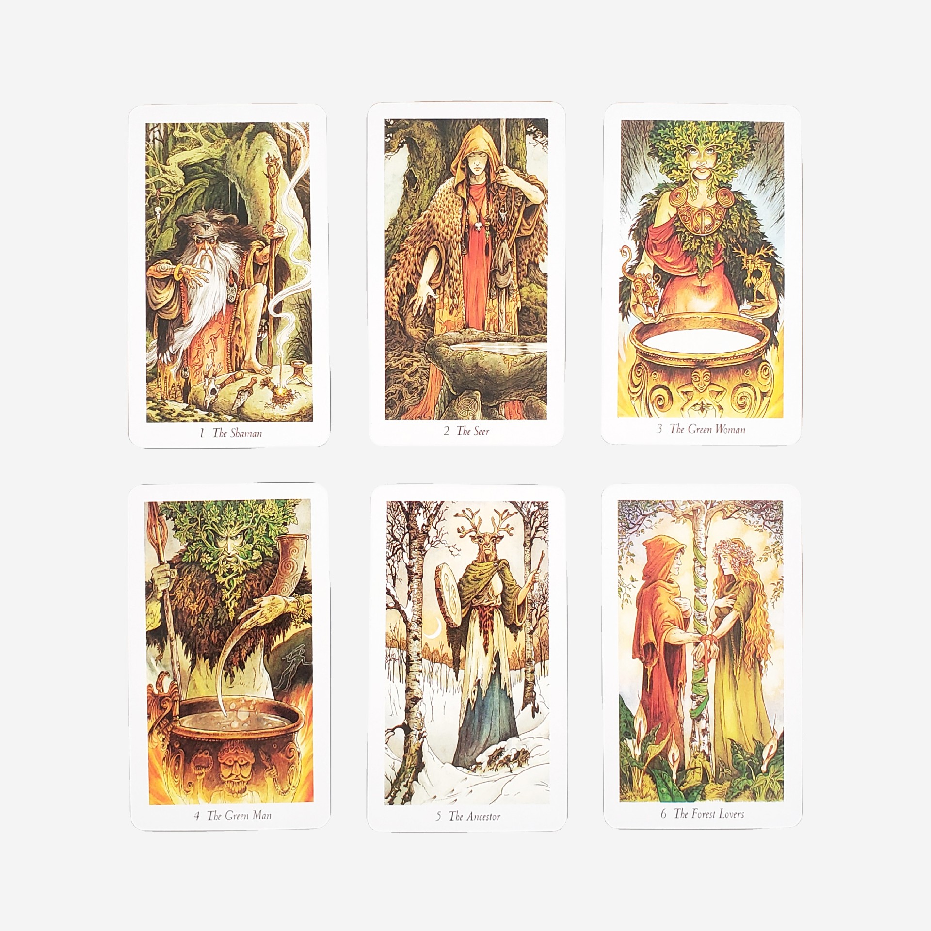 Carte da gioco tarot foresta naturale selvaggia per feste_voghion.com