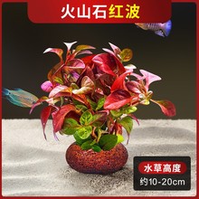 ������ɽʯˮ��ֲ��С�~���쾰������ˮ����ԾG�Ճ���ˮ�|�ײ�