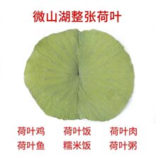 20年新大号微山湖荷叶整张天然干荷叶包饭荷叶粥荷叶叫花鸡糯米鸡