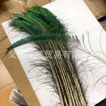 厂家现货销售孔雀毛边翎 孔雀剑 配饰 插花 装饰 尺寸齐全