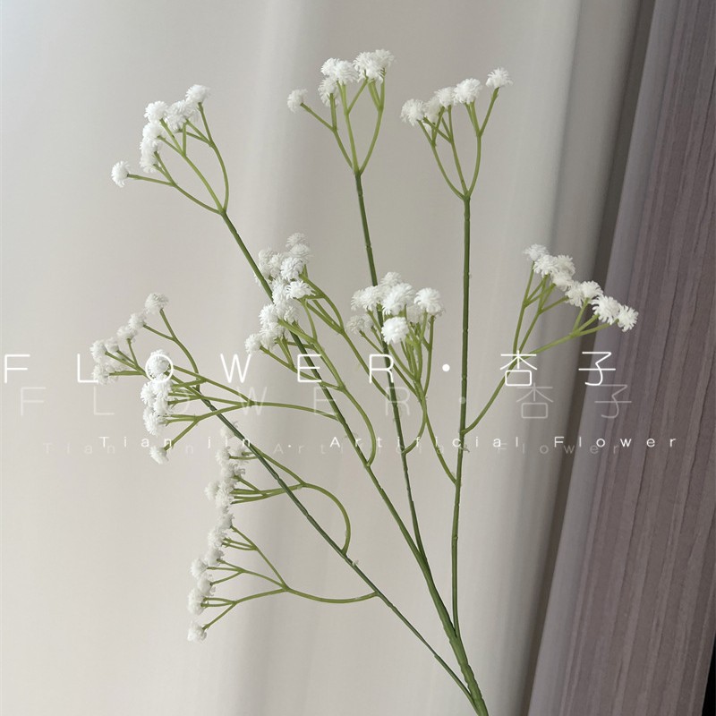 하얀색