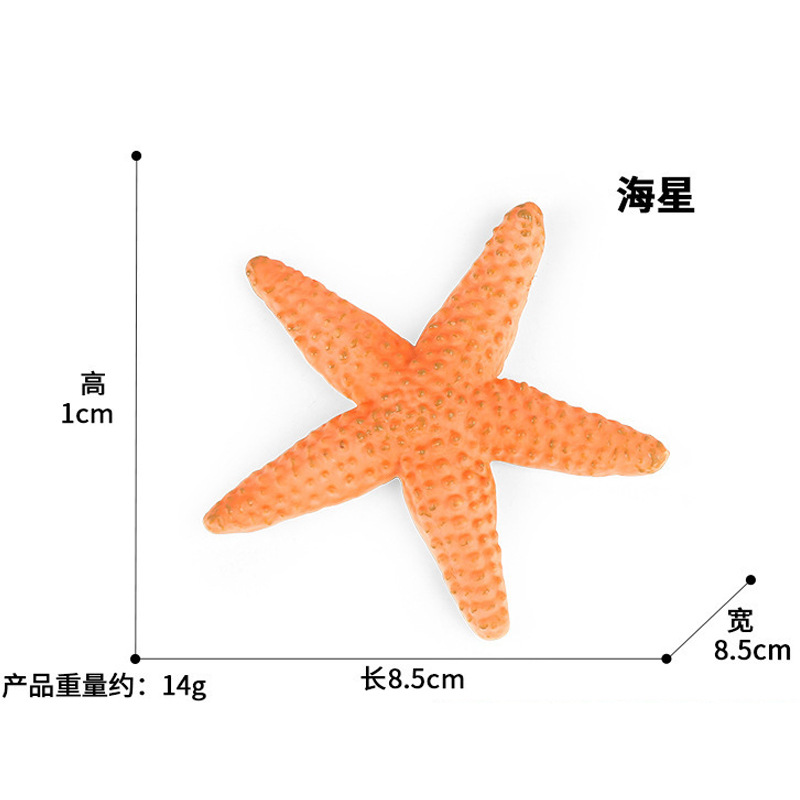 PL127-2531 starfish 14g