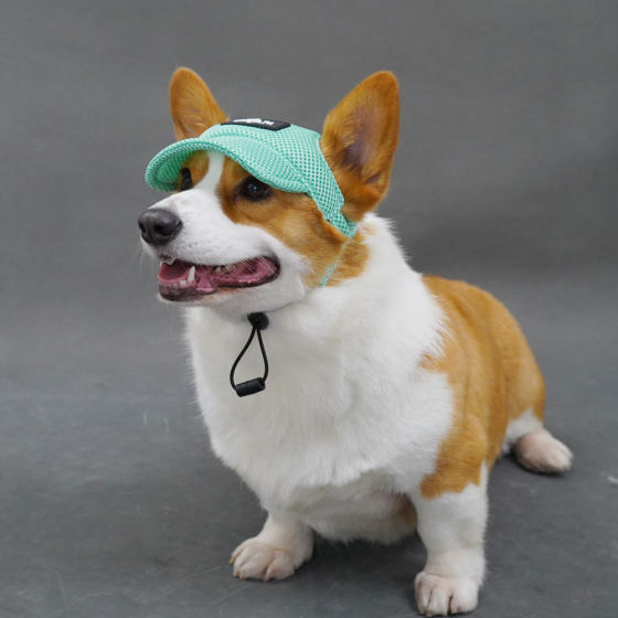 Pet it cross-border pet hat ear leakage breathable golden retriever dog hat summer sunscreen pet hat new