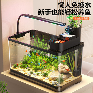 �ŷ��~��2026�¿�ȫ�Ԅӿ��^�V����һ�w�C�͏dС�����B������~��