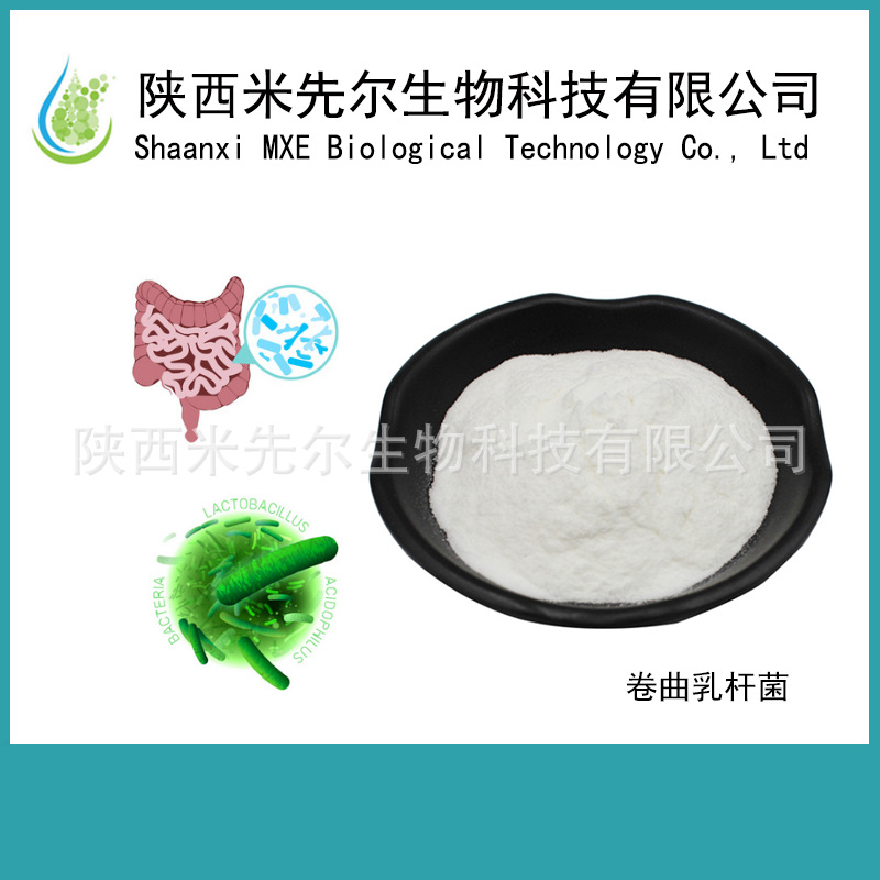 卷曲乳杆菌1000亿cfu/g 乳酸菌冻干粉 益生菌粉固体饮料 100g/袋