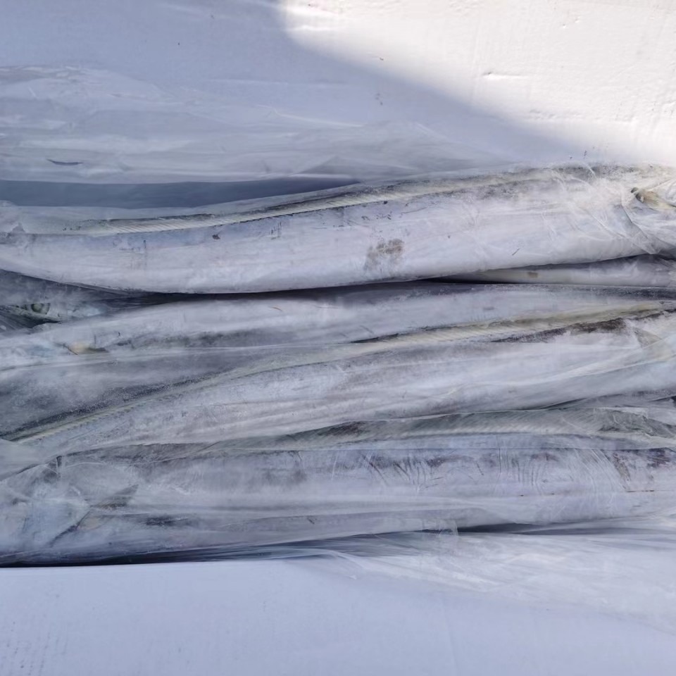 批发 冷冻整条整箱带鱼刀鱼 20斤商用 新鲜小眼睛网带纯野生钓带