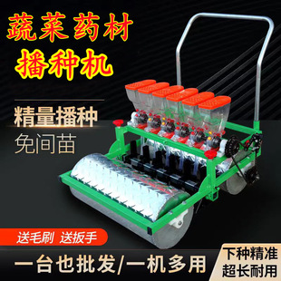 Hand-Push Vegetable Seed Planter for Small Greens, Water Spinach, Green Onions, Parsley, and Radish; Versatile Seeding Tool