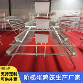 镀锌阶梯式蛋鸡笼 配件可选可配清粪带自动喂料机多层阶梯式鸡笼
