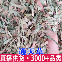 ͨ��� ݩ�j�� ������ ݩ�j��  ����ă�