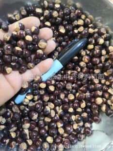 ��ș�����l���ۺ� ���A�� ������ ���A�� �A�ۺ� �A�ۺ� ���A����