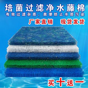 ���ރ����}�~���^�V�������޸��ܶȞV���~���^�V���ό��I�S�����l